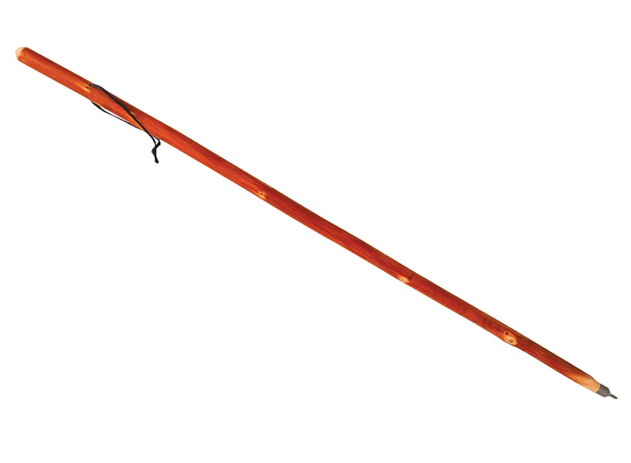 sport walking sticks